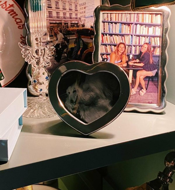 Nexusedge.shop02e4a296ee 3