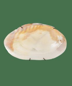 Nexusedge.shop0b53277abc 1