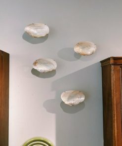 Nexusedge.shop0b53277abc 2