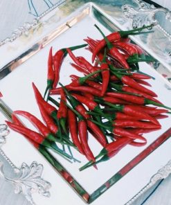 Nexusedge.shop3abe1b2254 5