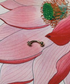 Nexusedge.shop517249aa5c 2