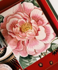 Nexusedge.shop6e0a595907 2