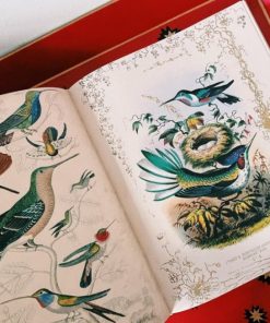 Nexusedge.shop6e0a595907 3