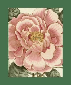 Nexusedge.shop6e0a595907 5