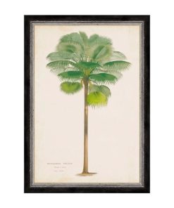 Nexusedge.shopdb99a29827 1