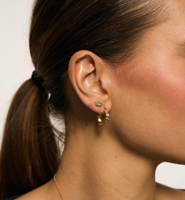 Nexusedge.shope7b3219203 2